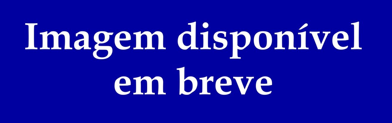 Pomba Branca